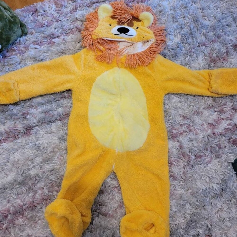 Coco Village Lion Costume size 3